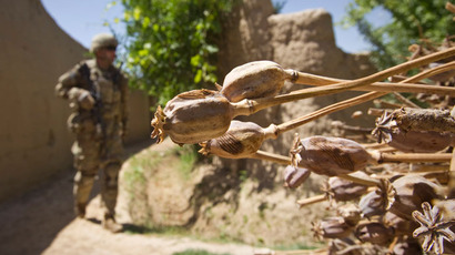 Putin slams ISAF for turning blind eye to Afghanistan drug production