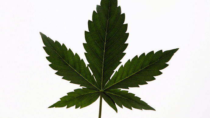 Majority of Americans want marijuana legalized