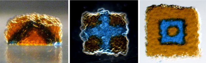 Printed droplet networks c.500 microns across (Credit: Oxford University / A Graham)