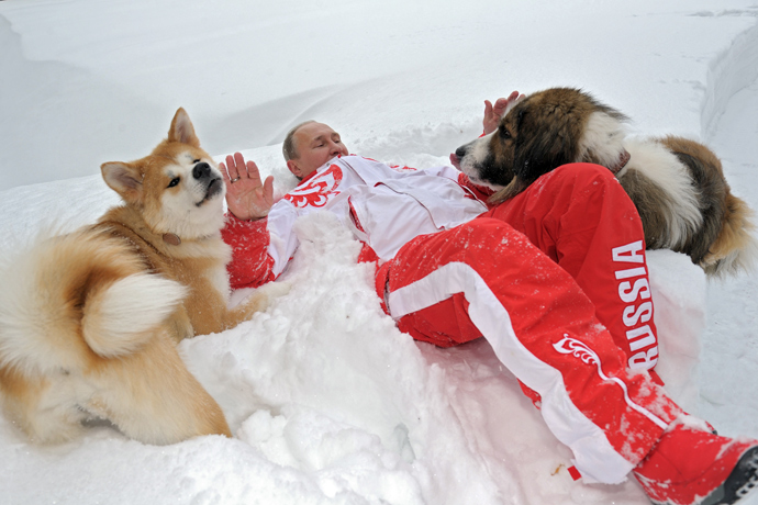 President Vladimir Putin and his dogs, Buffy the Bulgarian Shepherd and Yume the Akita-Inu, walk in the Moscow Region (RIA Novosti / Alexsey Druginyn)