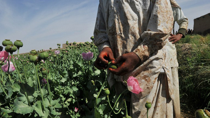 Afghanistan expecting record opium crop