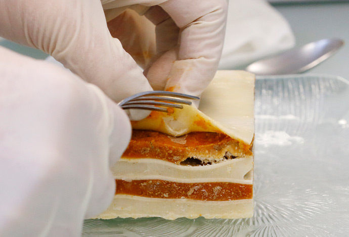 A laboratory worker of the Official Food Control Authority of Canton Bern extracts the meat of beef lasagne for a DNA test in the laboratory in Bern (Reuters / Pascal Lauener)