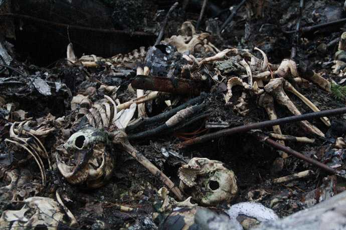 Remains of bodies at the crash site of the An-2 plane, which disappeared in the summer of 2012, found in the vicinity of the Katasminskoye swamp, 8km away from Serov, Sverdlovsk Region. (RIA Novosti/Dmitry Skryabin)