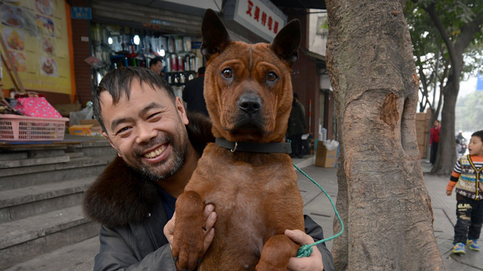 Animal instincts: Chinese city uses dogs to predict quakes