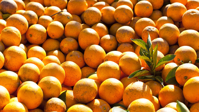 Florida scientifically engineers insects to fight incurable citrus disease