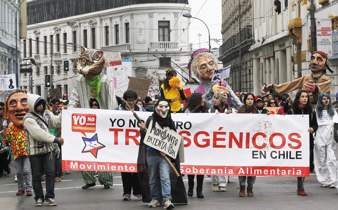 Demonstrators hold banners during a rally against U.S.-based Monsanto Co. and genetically modified organisms (GMO), in Valparaiso city May 25, 2013. (Reuters / Eliseo Fernandez)