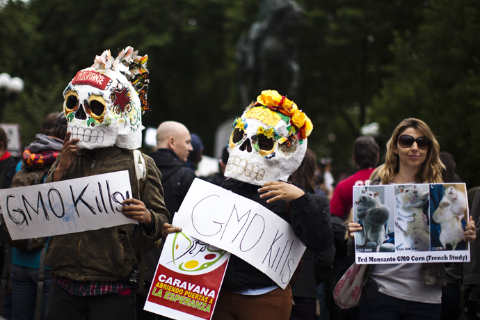 Demonstrators hold up posters during a protest against U.S.-based Monsanto Co. and genetically modified organisms (GMO), in New York May 25, 2013. (AFP Photo / Eduardo Munoz)