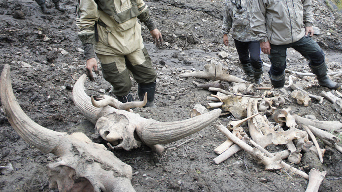 preserved bodies in ice