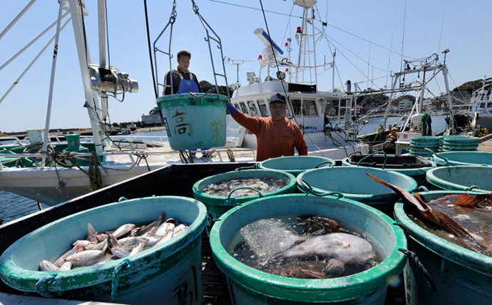 Fishermen unload their catch at the Hirakata fish market in Kitaibaraki, Ibaraki prefecture, south of the stricken Fukushima daiichi nuclear power plant number 1. (AFP Photo / Toru Yamanaka)