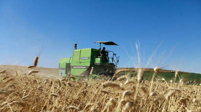 Monsanto points to sabotage at GMO-contaminated wheat field