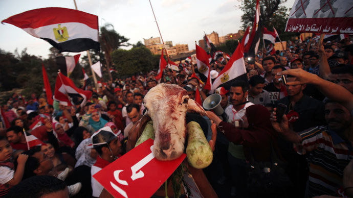 A protester opposing Egyptian President Mohamed Morsi shouts slogans as he holds a lamb's head during a demonstration in front of the Presidential Palace "Qasr Al Quba" in Cairo July 2, 2013.(Reuters / Amr Abdallah Dalsh)
