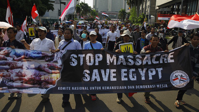 Dozens dead as Egyptian Islamists rally to defend Morsi