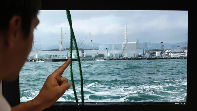 Blair Thornton, associate professor at the University of Tokyo's Institute of Industrial Science Underwater Technology Research Center, points at a video of the Fukushima Daiichi nuclear plant (F1NPP) operated by the Tokyo Electric Plant during a research trip, in Tokyo August 8, 2013. (Reuters/Toru Hanai)