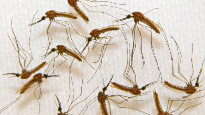 Florida wants to deploy drone fleet to help kill mosquitoes