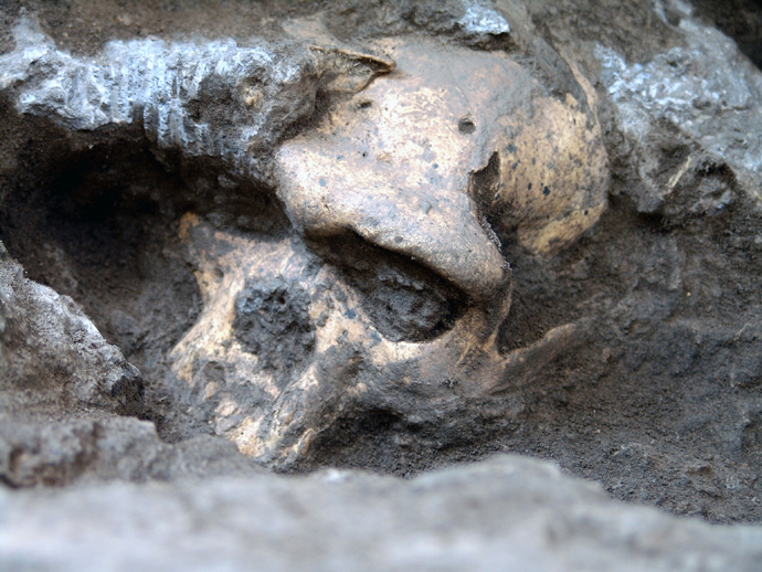 This handout photo received October 17, 2013 shows a complete, approximately 1.8-million-year-old hominid skull from Dmanisi, Georgia (AFP Photo / Georgian National Museum / Handout)