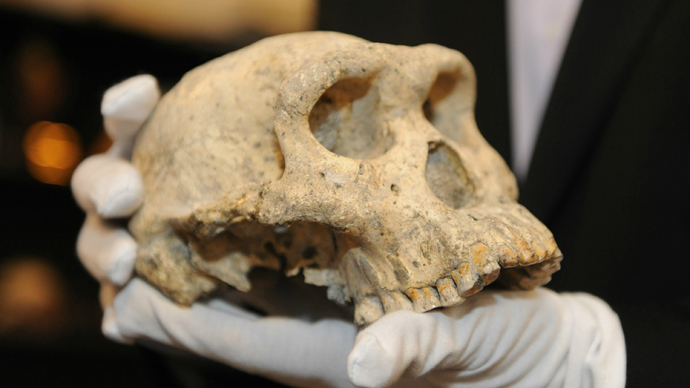 ‘Homo Georgicus’: Georgia skull may prove early humans were single species