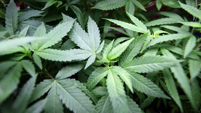 California moves to legalize marijuana in 2016