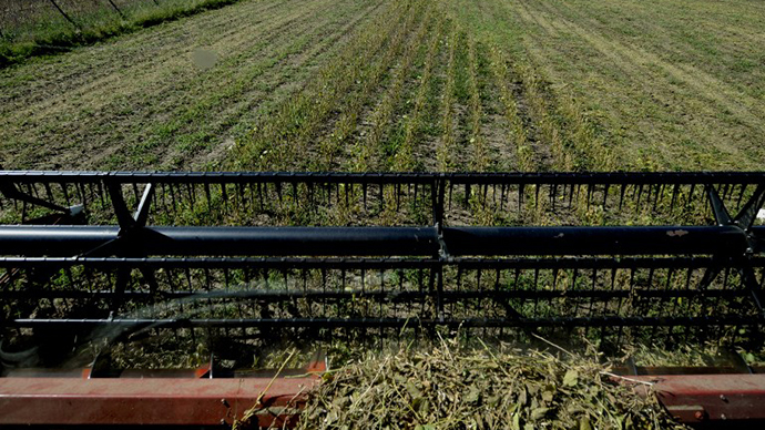 Monsanto denies its pesticides behind Argentine health problems