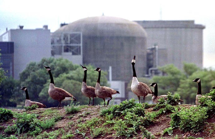 Ontario Hydro Pickering nuclear power station (Reuters/Andy Clark)