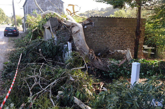 A view of a tree which fell and damaged a house during an overnight storm which passed over northwestern France and Britain, on October 28, 2013, in La Roche-Maurice, northwestern France. (AFP Photo)