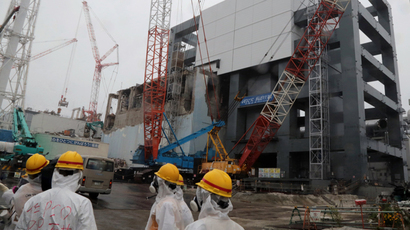 Fukushima operators begin risky nuclear fuel rod removal