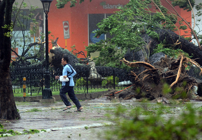 A resident runs past an uprooted tree amidst strong winds as Typhoon Haiyan pounded Cebu City, in central Philippines on November 8, 2013 (AFP Photo)