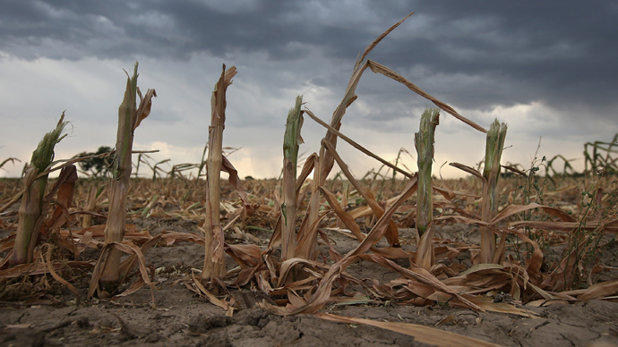 Unintended consequences: US ethanol revolution causes 'ecological disaster'