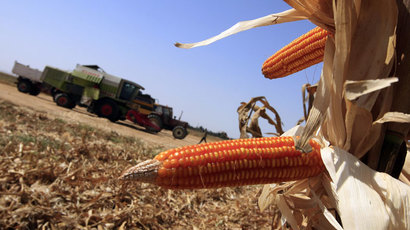 ​China rejects fifth US corn cargo in a month, citing GMO strain