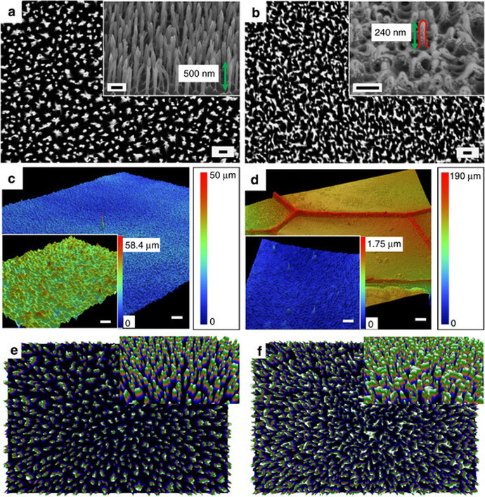 Characterization of black silicon and Red Dragonfly (D. bipunctata) wings. (Image from the study)