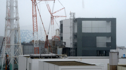 Fukushima rice tests ‘radiation free’ first time since disaster