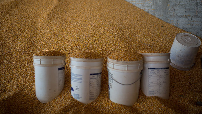 ​China rejects fifth US corn cargo in a month, citing GMO strain
