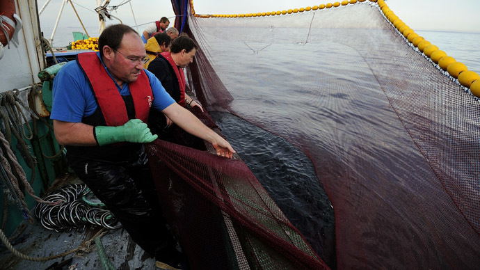 China bans American shellfish over high levels of arsenic