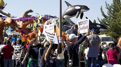 Agent provocateur? PETA claims SeaWorld employee infiltrated protests