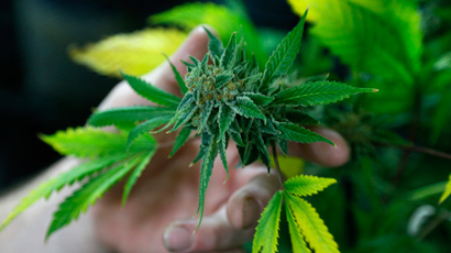 DEA admits marijuana legalization 'scares us'