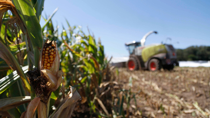Oregon counties ban cultivation of GMO crops