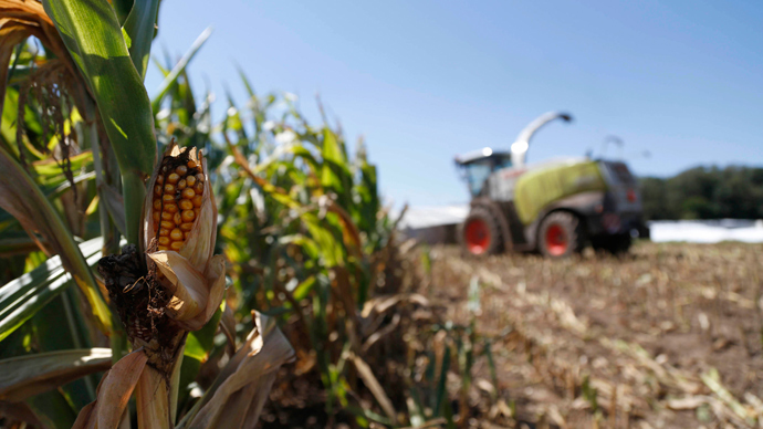 ​Supreme Court hands Monsanto victory over farmers on GMO seed patents, ability to sue