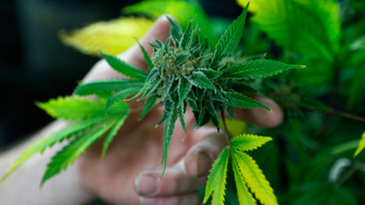 Colorado cracks down on marijuana-based munchies