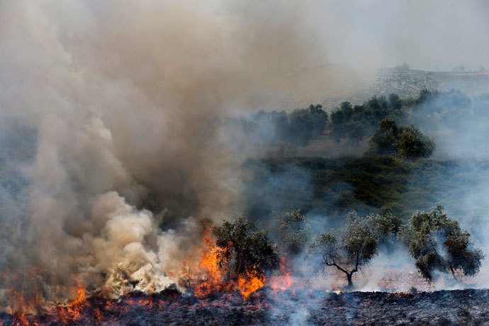 Olive trees, that according to Palestinians were set ablaze by Jewish settlers after a stabbing attack, burn near the West Bank Jewish settlement of Yitzhar near Nablus April 30, 2013.(Reuters / Nir Elias )