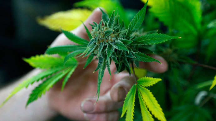 Marijuana to become hot button election issue in 2016?