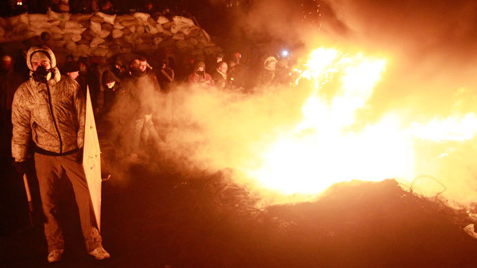 Kiev, January 24, 2014.(Reuters / Gleb Garanich)