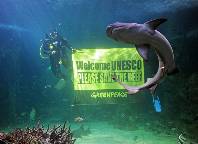 A reef shark swims past as Sydney Aquarium divers unveil a Greenpeace banner urging UNESCO to save the Great Barrier Reef (AFP Photo / Greg Wood)