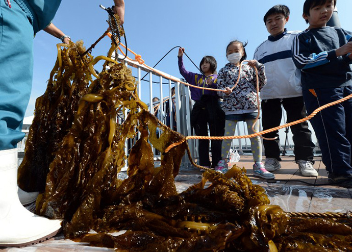 Students from the Kanazawa elementary school harvest "Wakame" or edible seaweeds during a press preview of Yokohama Hakkeijima SeaParadise's new attraction facilities, "Umi Farm," or Sea Farm in Yokohama on February 28, 2013. (AFP Photo / Toshifumi Kitamura)