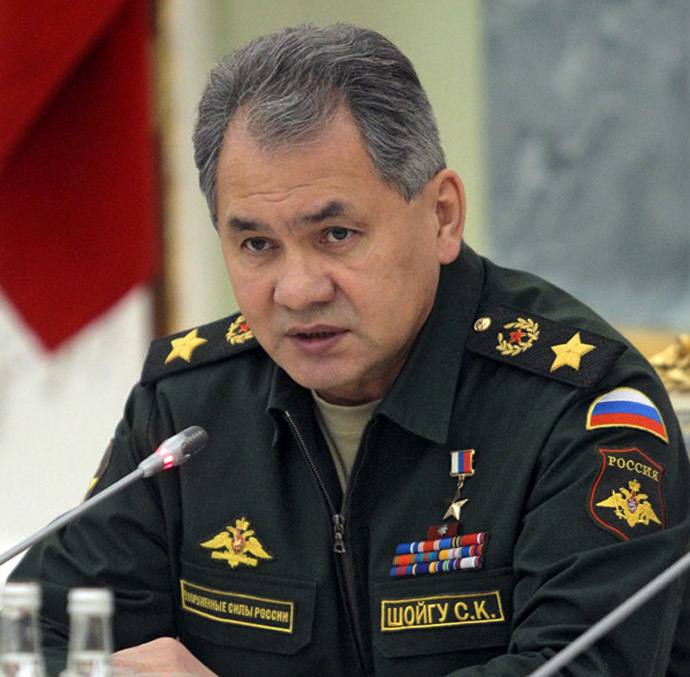 Russian Defence Minister Sergei Shoigu (RIA Novosti/Sergey Mamontov)