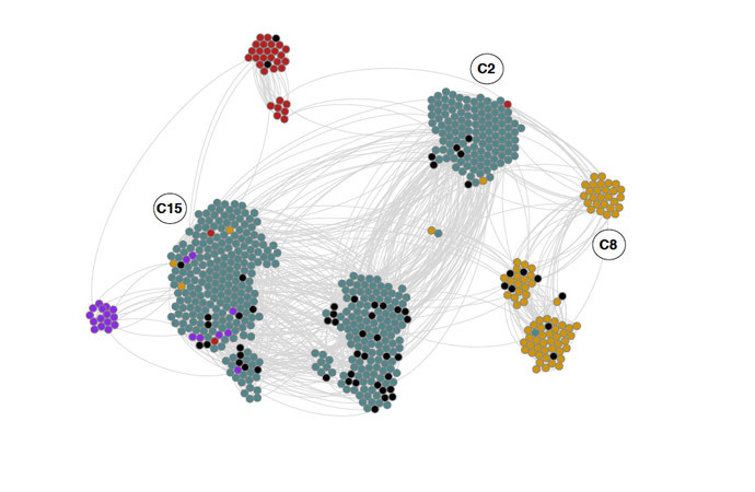 Syrian account network (652 nodes, 3,260 edges). Four major categories; Jihadist (gold, right), Kurdish (red, top), Pro-Assad (purple, left), and Secular/Moderate opposition (blue, center). Black nodes are members of multiple communities. Visualization was performed with the OpenOrd layout in Gephi.