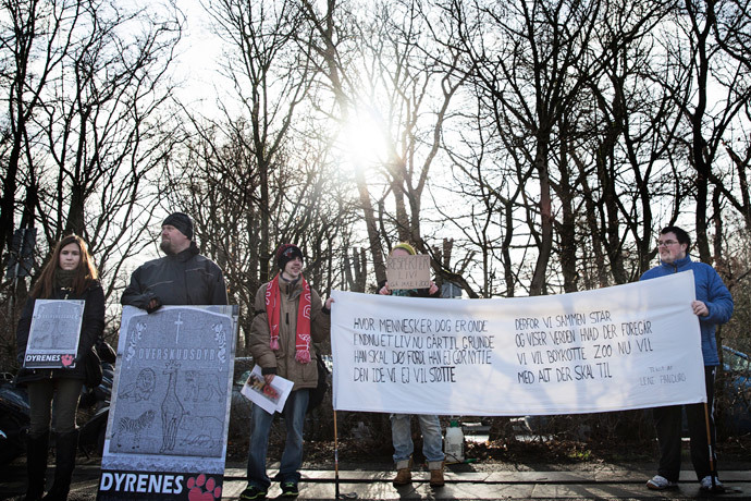 Some 20 people demonstrate outside Copenhagen Zoo against the killing and of a perfectly healthy young giraffe named Marius on Febuary 9, 2014 despite an online petition to save it signed by thousands of animal lovers.(AFP Photo / Kasper Palsnov)