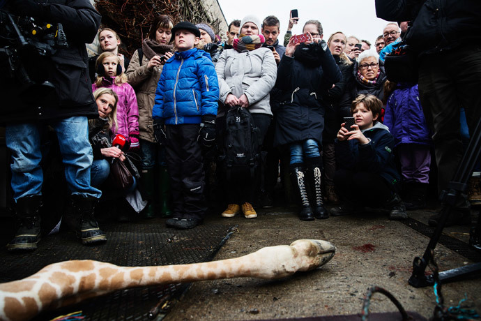 AFP Photo / Kasper Palsnov 