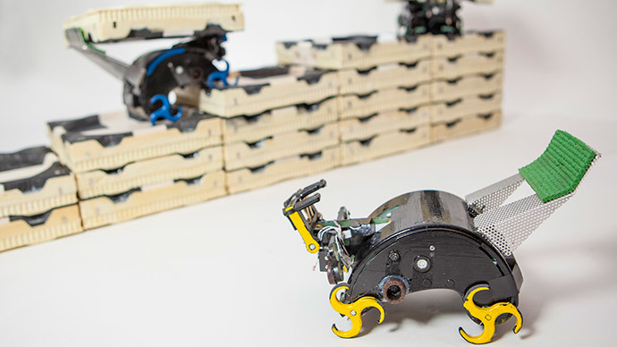 Self-organizing robot armies produced - and all thanks to ingenious termite logic