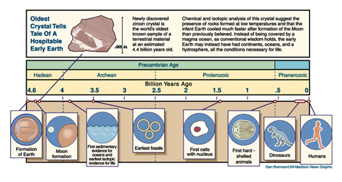 Image from wisc.edu