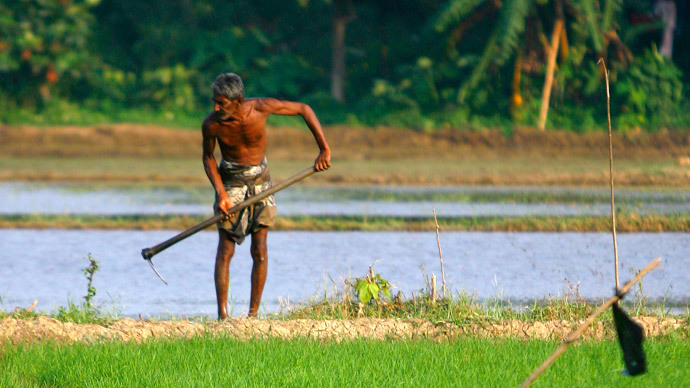 ​Monsanto's Roundup may be linked to fatal kidney disease, new study suggests