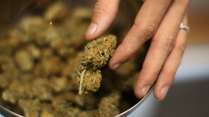No indication legal marijuana raises crime rate – study